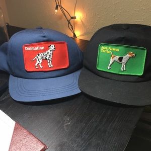 Cool pair of dog hats